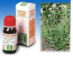 Achillea 51 50 Ml Tintura Madre