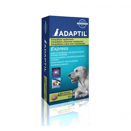 Adaptil Express 40 Compresse