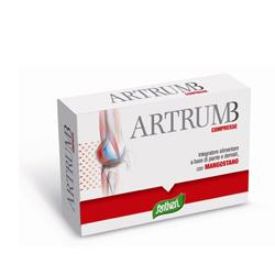 Artrumb