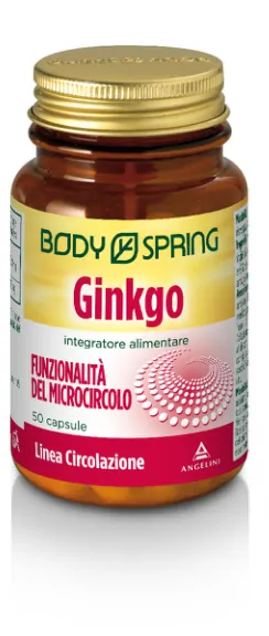 Body Spring Ginkgo