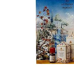 Camomilla Olio Cosmetico 100 Ml