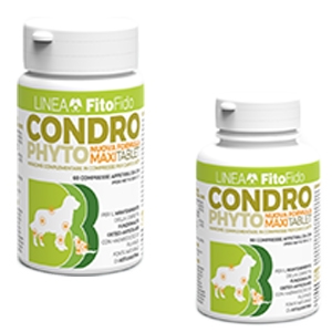 Condrophyto 60 Compresse 1g