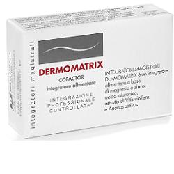 Dermomatrix Integratore Magnesio 20 Capsule