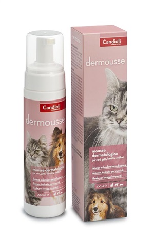 Dermousse Mousse Dermatologica 200 Ml