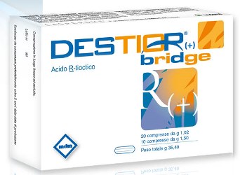 Destior Bridge 