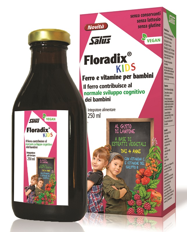 Floradix 250 Ml