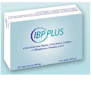 Ibp Plus