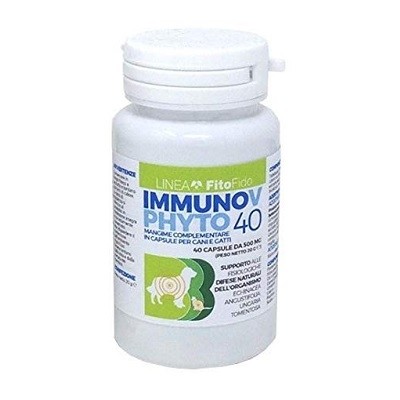 Immunov Phyto 40 Capsule