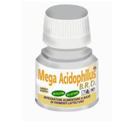 Mega Acidophilus 40 Capsule