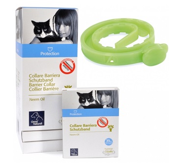 Protection Collare Barriera Per Gatto