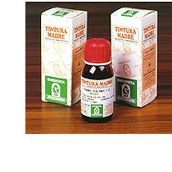 Pungitopo 24 50 Ml Tintura Madre