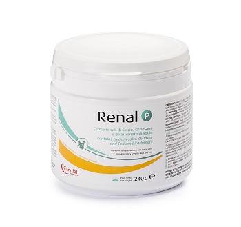 Renal P 240 G