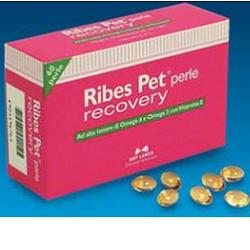 Ribes Pet Recovery 