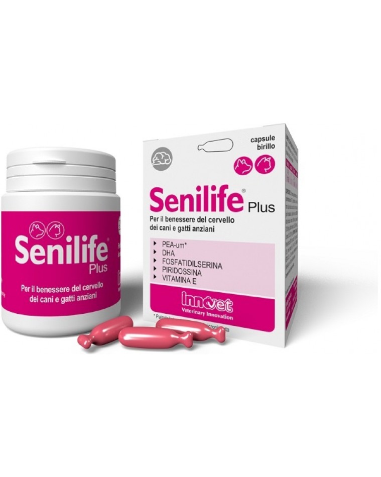 Senilife Plus 30 Capsule