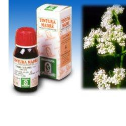 Valeriana 36 Tintura Madre 50 Ml