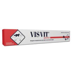 Visvit Pasta Con Siringa Mangime Complementare 15 G