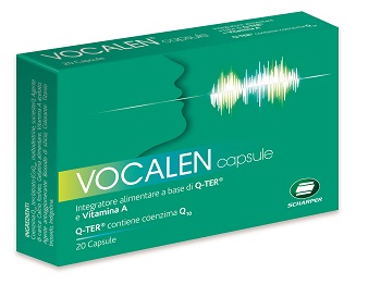 Vocalen