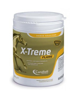 X-treme Flame 450 G