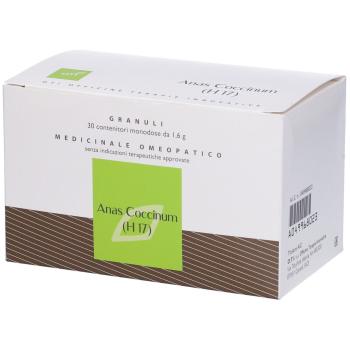 ANAS COCCINUM HOLIS 17