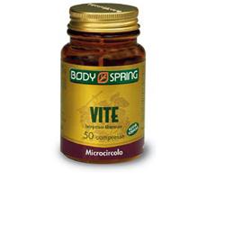 BODY SPRING VITE 