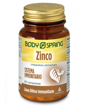 BODY SPRING ZINCO
