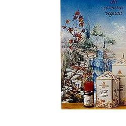 CALENDULA OLIO 100 ML