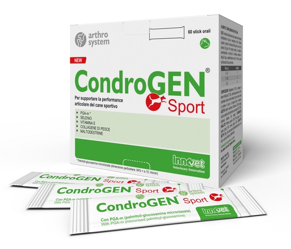 CONDROGEN SPORT 60 STICK