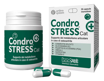 CONDROSTRESS + CAT 20 CAPSULE