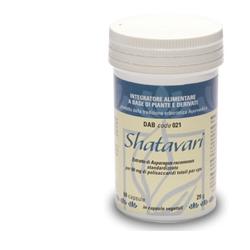 DAB 021 SHATAVARI 
