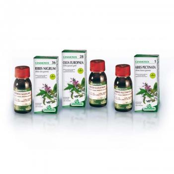GEMMOSOL 23 FAGGIO 50 ML