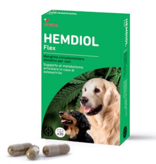 HEMDIOL FLEX CANE 30 CAPSULE 500 MG