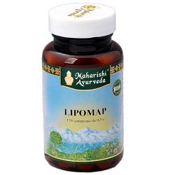 LIPOMAP 120CPR 60G