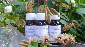 LVS 08N HARPAGOPHYTUM PROCUMBES COMPOSITUM