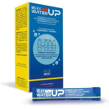 MGK VIS WATER UP 10 STICK