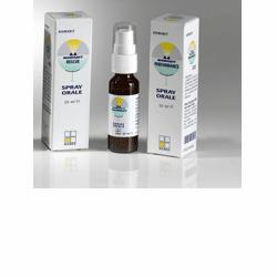 NOMABIT ROCK ROSE 20 ML