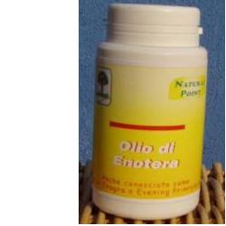 OLIO ENOTERA 50 PERLE