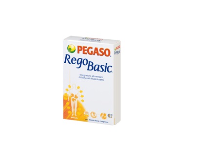 REGOBASIC 12 BUSTINE