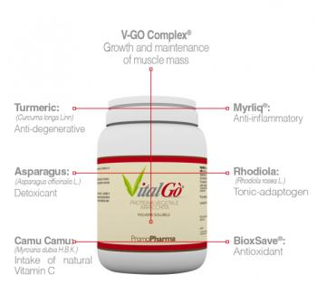 VITALGO POLVERE 300 G